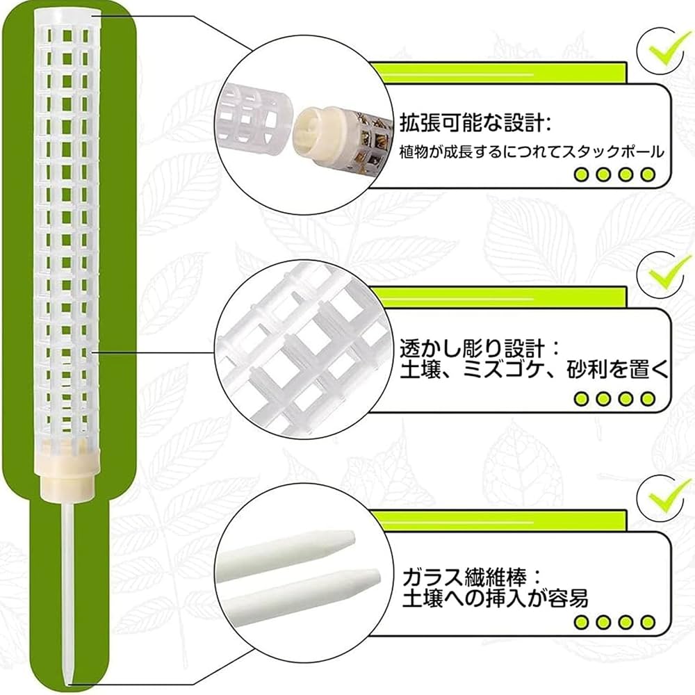 C6モンステラ 2寸ポリポット　と白モスポール10本 モスポール 支柱 2本セット 連結可能 観葉植物 モンステラ つる